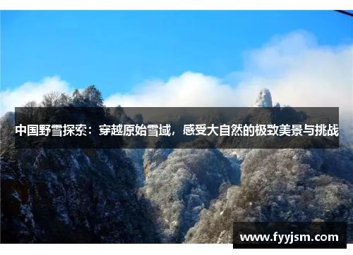 中国野雪探索：穿越原始雪域，感受大自然的极致美景与挑战