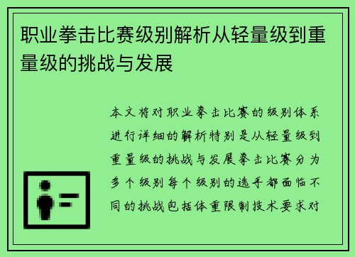 职业拳击比赛级别解析从轻量级到重量级的挑战与发展